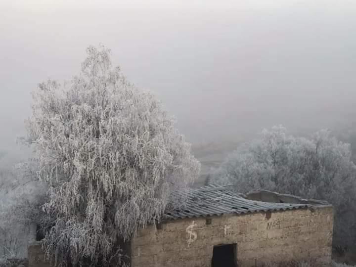 AFECTACIONES FF 29 (2)