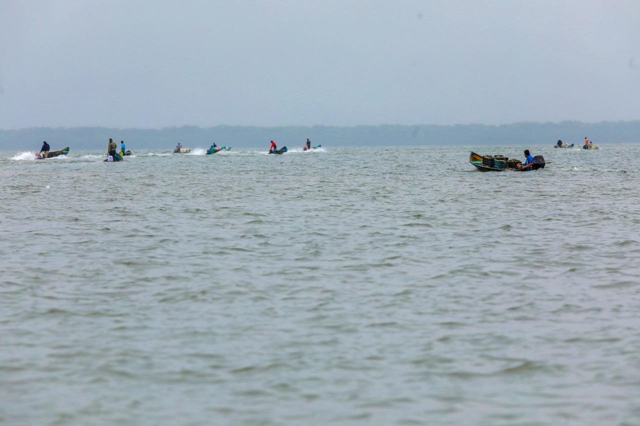 CULTIVO DE OSTIÓN (3)