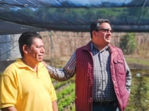 SEGURO CATASTRÓFICO, SEDARPA