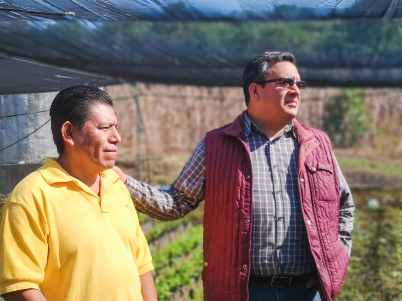 SEGURO CATASTRÓFICO, SEDARPA