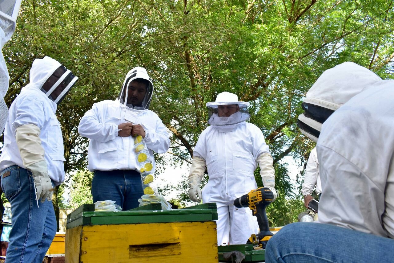 SRU-007-2019.-Gobierno del Estado exhorta a apicultores a realizar el areteo de colmenas (2)