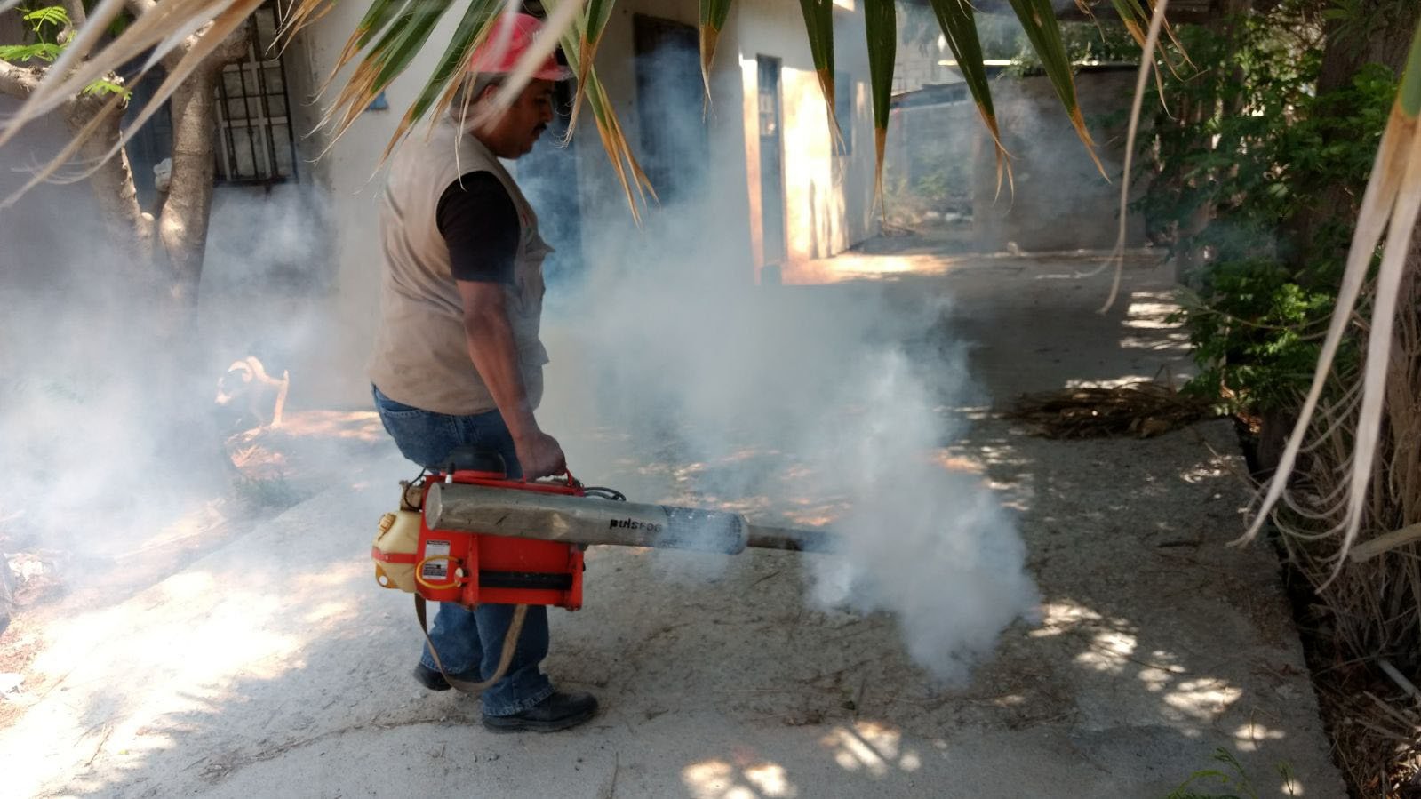 SST-005-2019.-Disminuyen en Tamaulipa los casos de dengue (1)