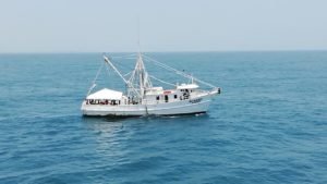 WhatsApp Image 2019-01-08 at 1.06.17 PM (1)