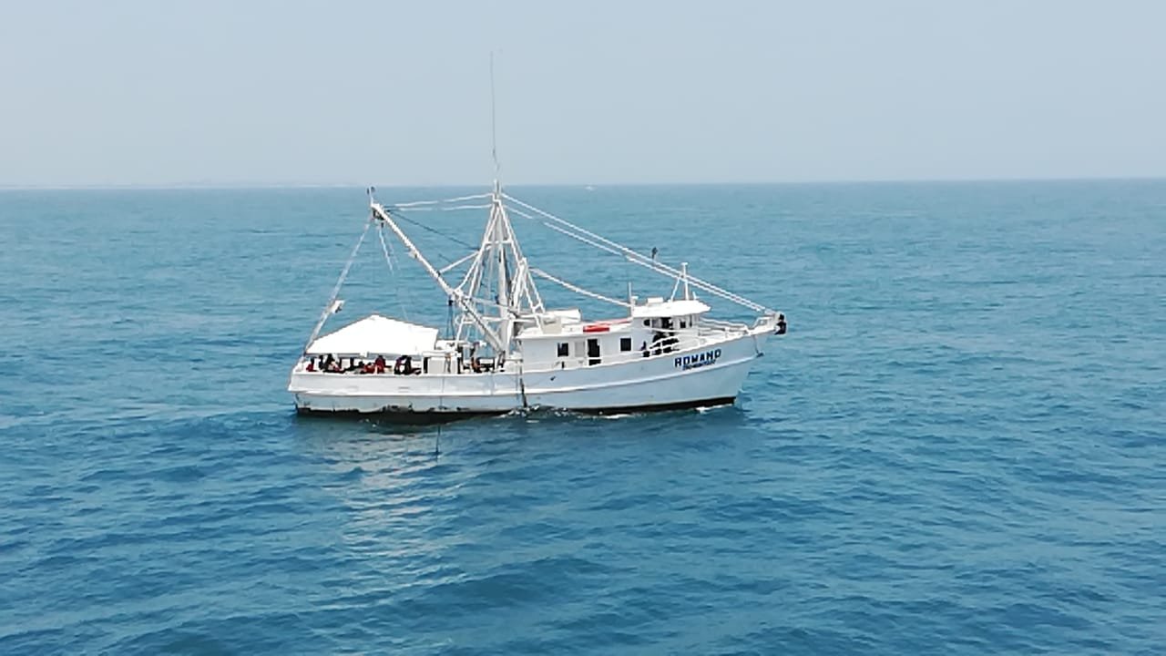 WhatsApp Image 2019-01-08 at 1.06.17 PM (1)