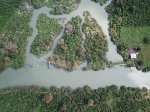 WhatsApp Image 2019-01-14 at 3.56.56 PM