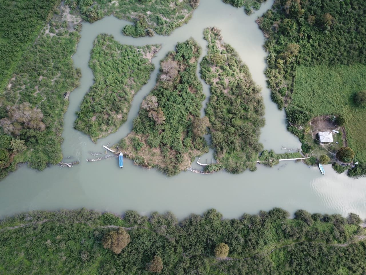 WhatsApp Image 2019-01-14 at 3.56.56 PM