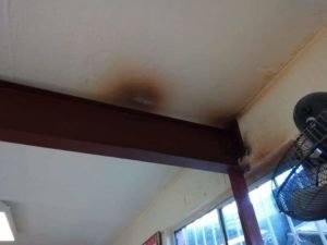 WhatsApp Image 2019-01-15 at 3.02.47 PM