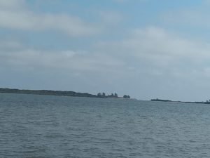 WhatsApp Image 2019-01-16 at 3.43.47 PM