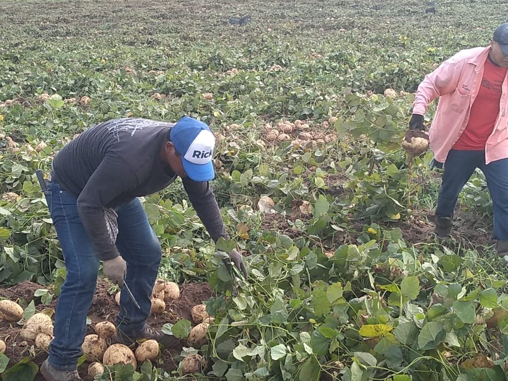 WhatsApp Image 2019-01-18 at 3.15.34 PM