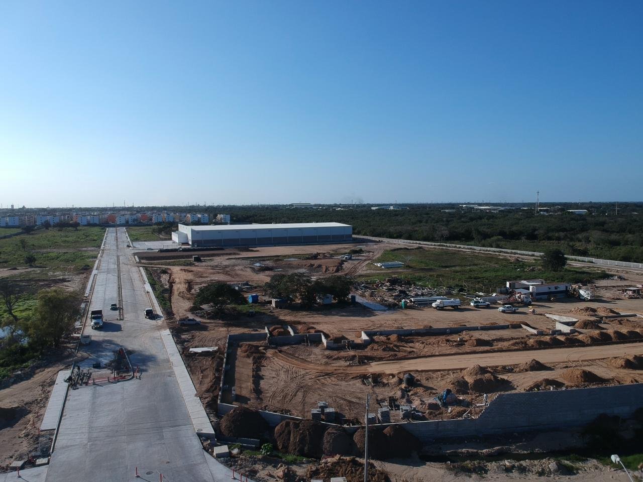 WhatsApp Image 2019-01-25 at 12.22.30 PM