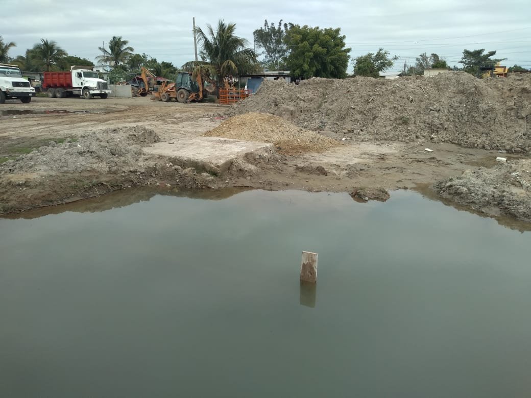 WhatsApp Image 2019-01-30 at 3.31.05 PM (1)