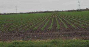 cropw0h0tam20180230201esperan.01-focus-min0.04-min0.24-600-315