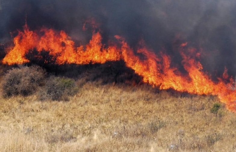 incendio-pastizal