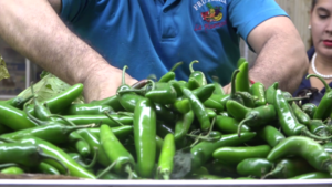 vlcsnap-2019-01-10-16h00m10s152