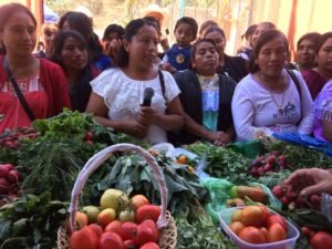 APOYOS PROYECTOS PRODUCTIVOS (2)