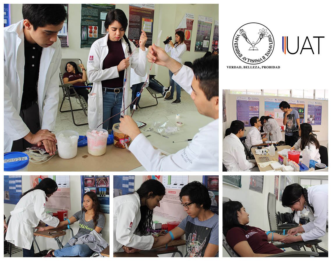 Collage 1 Maěs Vida