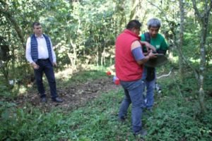 INVESTIGACIÓN TEJAR-GARNICA (1)