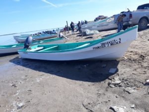 PAC-002-2019.-Continua Secretaría de Pesca y Acucultura con los procesos del ordenamiento pesquero (2)