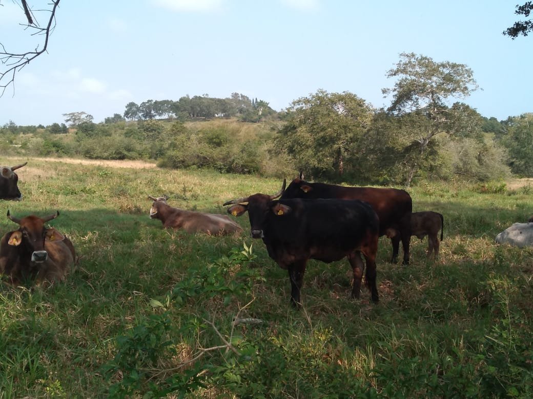 WhatsApp Image 2019-02-07 at 2.36.16 PM