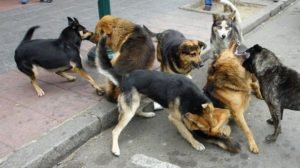 WhatsApp Image 2019-02-07 at 4.15.46 PM