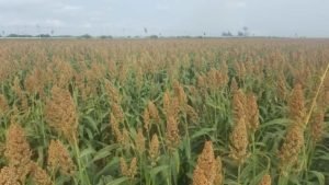 WhatsApp Image 2019-02-12 at 3.55.44 PM