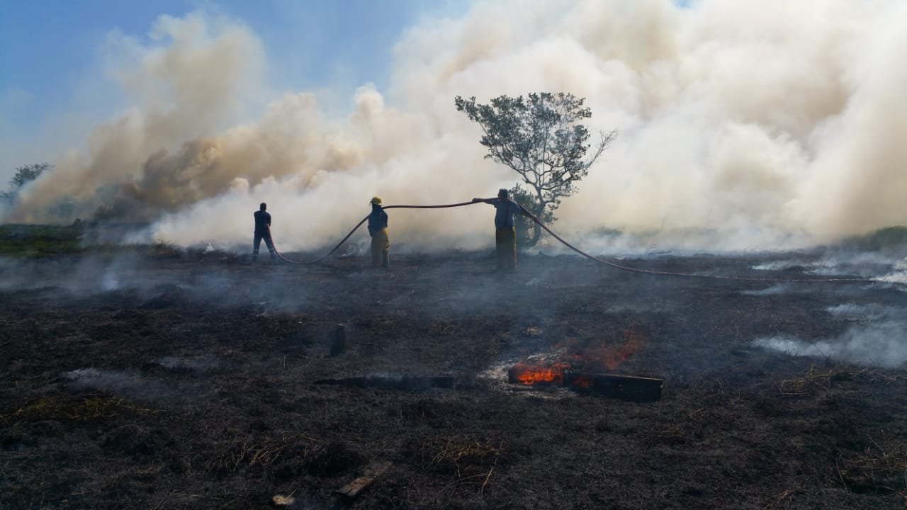 WhatsApp Image 2019-02-13 at 1.56.26 PM