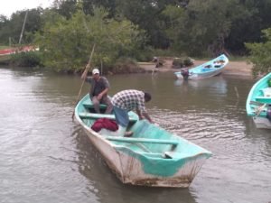 WhatsApp Image 2019-02-13 at 3.58.04 PM