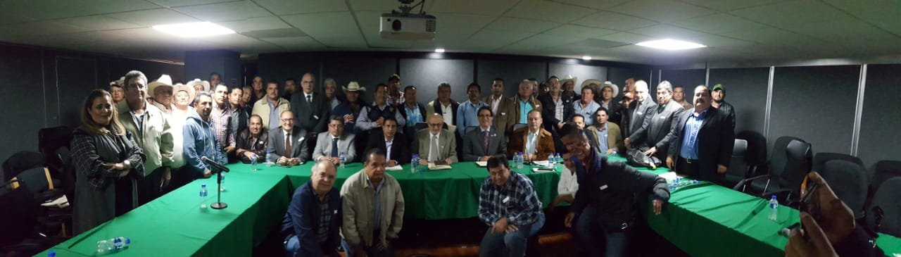 WhatsApp Image 2019-02-15 at 4.40.38 PM