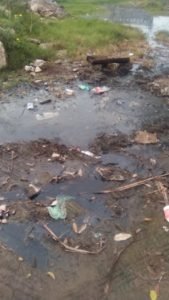 WhatsApp Image 2019-02-19 at 12.27.47 PM (1)