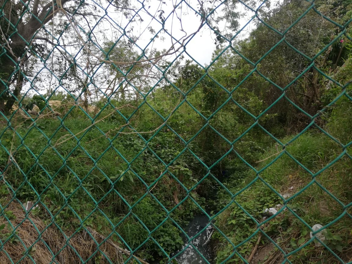 WhatsApp Image 2019-02-20 at 2.04.44 PM