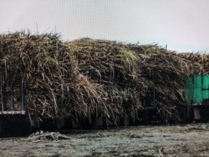 WhatsApp Image 2019-02-20 at 4.29.48 PM