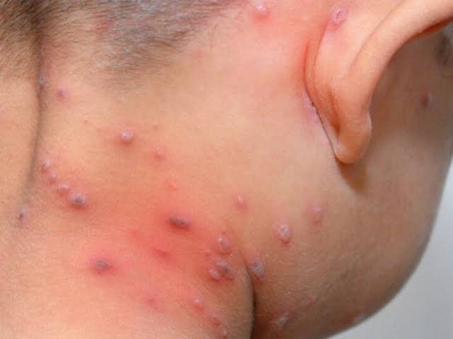 WhatsApp Image 2019-02-22 at 3.30.34 PM