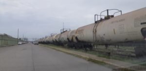 WhatsApp Image 2019-02-25 at 4.32.24 PM