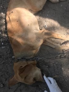 WhatsApp Image 2019-02-26 at 3.42.46 PM