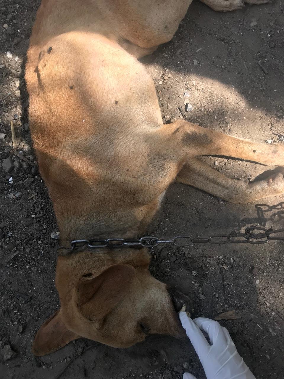 WhatsApp Image 2019-02-26 at 3.42.46 PM