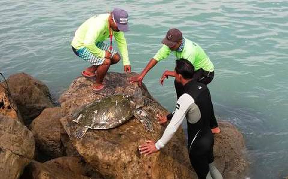 WhatsApp Image 2019-02-26 at 4.00.50 PM