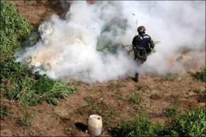 dc31c614e13eecf908983f29dd33335f7fb4439e