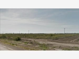 170228160446-c10cb6aef89941069fb62359def1f489l