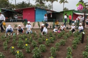 53688871_2115617188518466_5736794427221868544_n