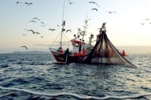 999999999999999999999999999999999