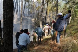 COMBATE DE INCENDIO EN LAS VIGAS (2)
