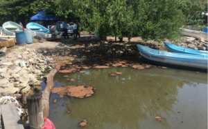 Captura de pantalla 2018-04-27 a la(s) 10.01.41 p.m.