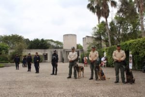 OPERATIVO CUMBRE TAJÍN 2019 (1)