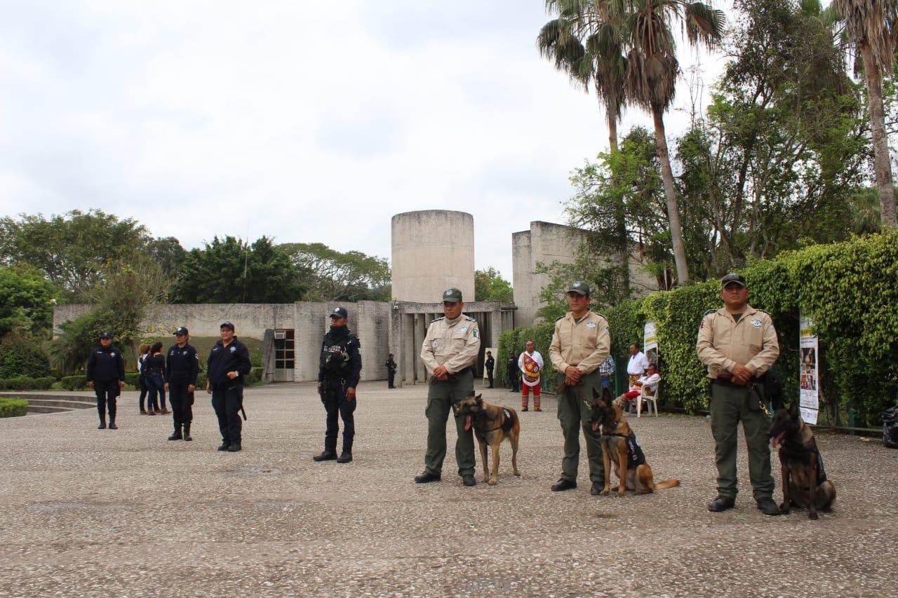 OPERATIVO CUMBRE TAJÍN 2019 (1)