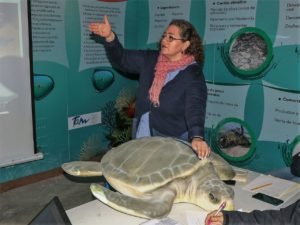 SDU-018-2019.-¡Listos para recibir a la Tortuga Lora! (3)