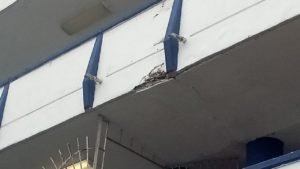 WhatsApp Image 2019-03-04 at 4.09.35 PM