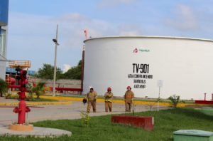 WhatsApp Image 2019-03-05 at 4.46.54 PM