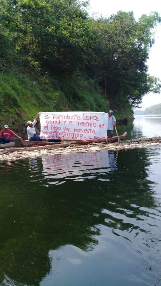 WhatsApp Image 2019-03-11 at 3.22.52 PM