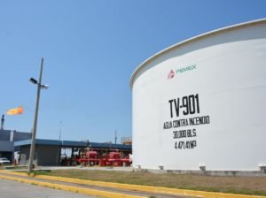 WhatsApp Image 2019-03-14 at 2.39.31 PM