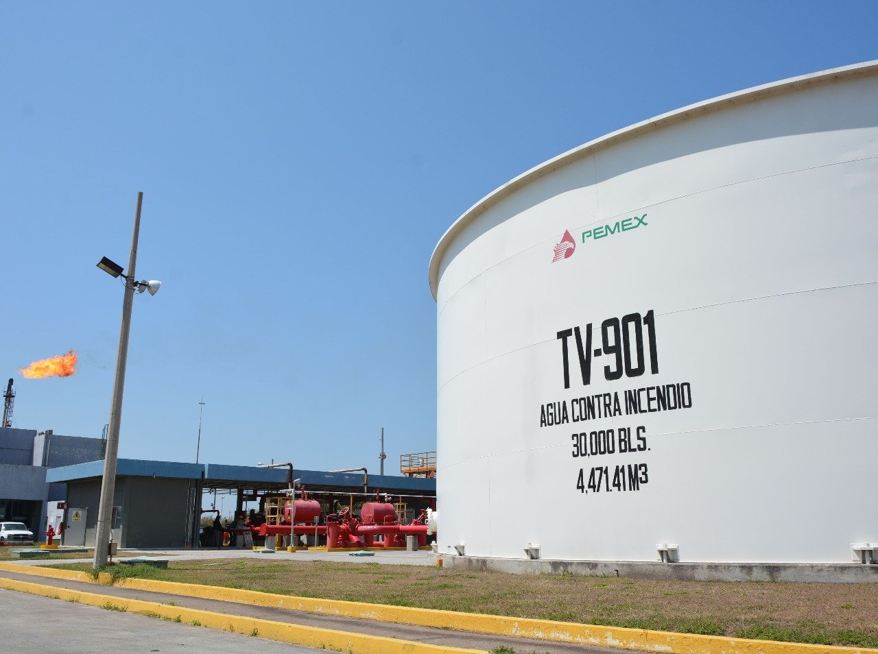 WhatsApp Image 2019-03-14 at 2.39.31 PM